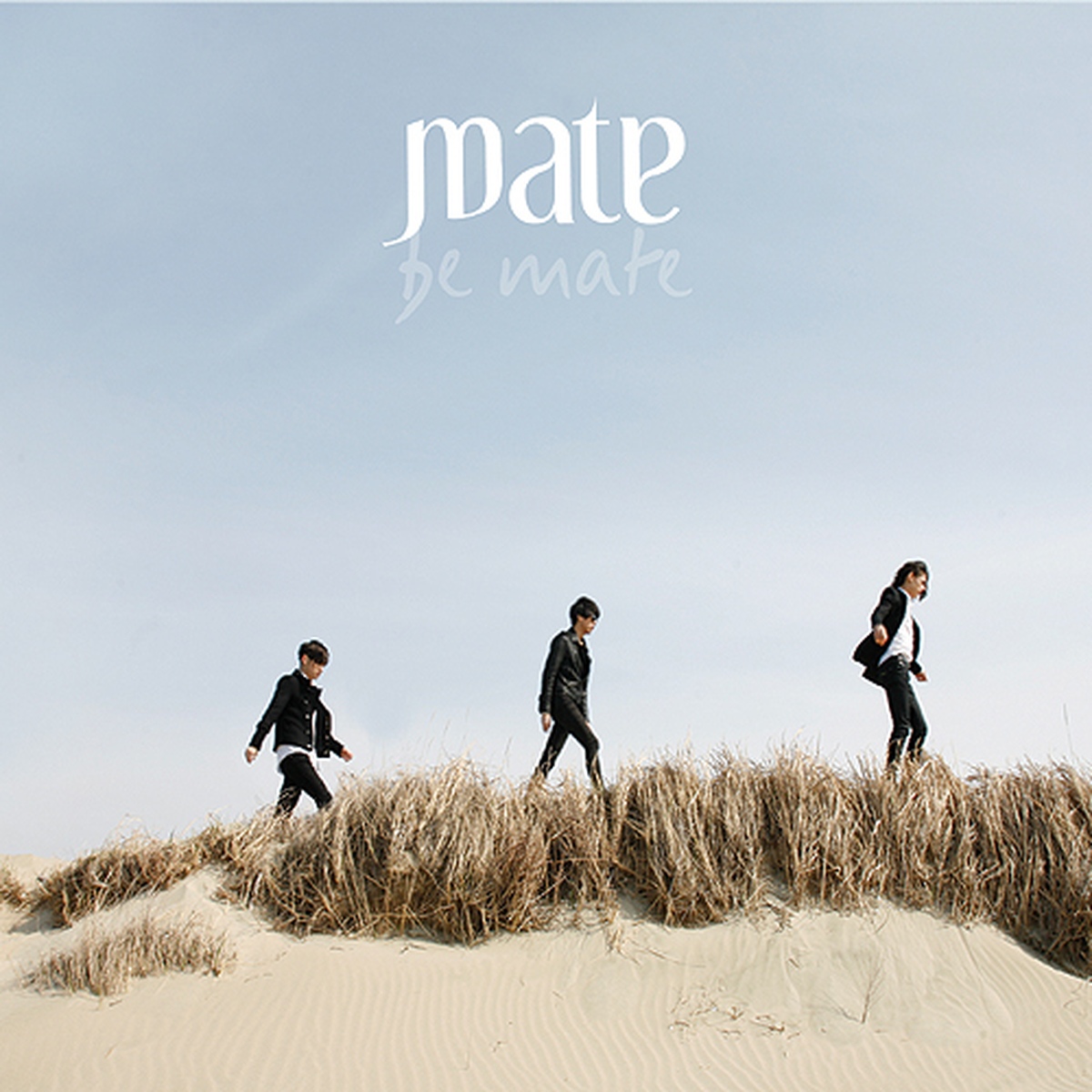 Be Mate by 메이트 — album cover